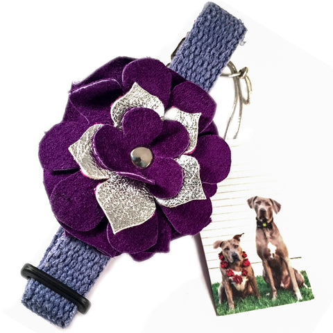 Purple Flower Collar
